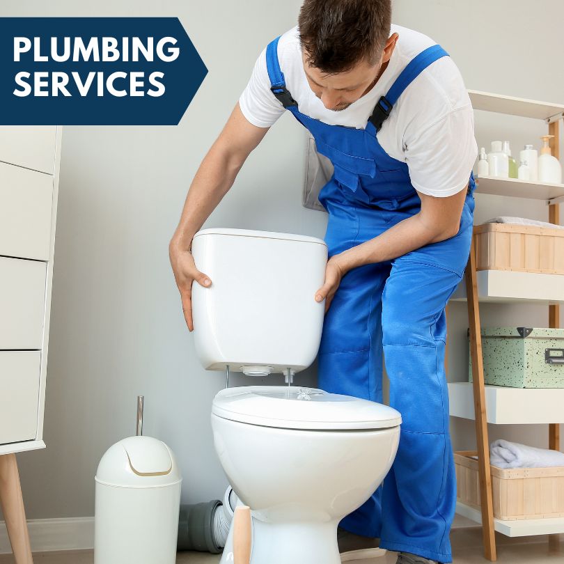 Plumbing Company in Villa Ridge, IL